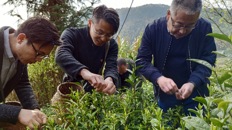 尊龙凯时·(中国)官方网站