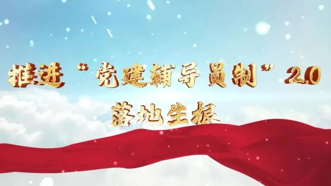  党建谋划融合十佳案例④ | 西南水泥——“向导员制”+“学习型组织”，让党建成为看得见的“生产力” 